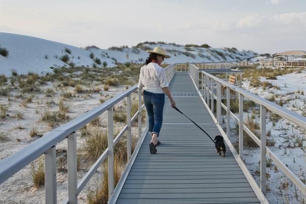 Boardwalk at White Sands National Monument