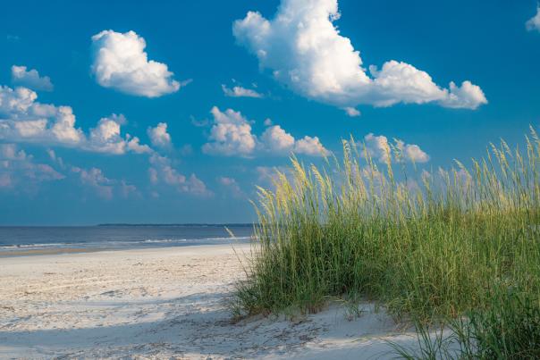 Golden Isles Beach
