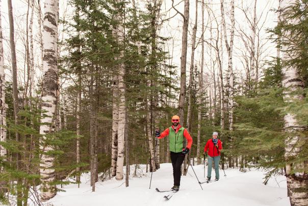 Great Glen Trails Cross Country Skiing (Couple Skiing on Path in Woods)