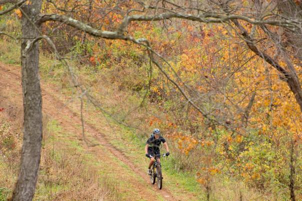 Mountain Biking Through Park