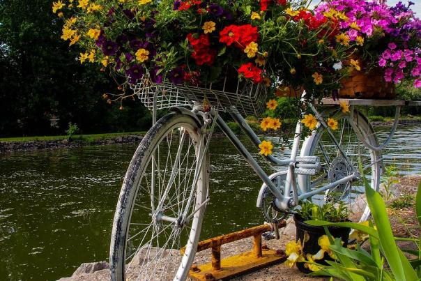 Bicycle of flowers by the water in Cayuga County