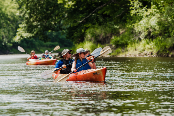 group of people on kayaks paddling down a river
