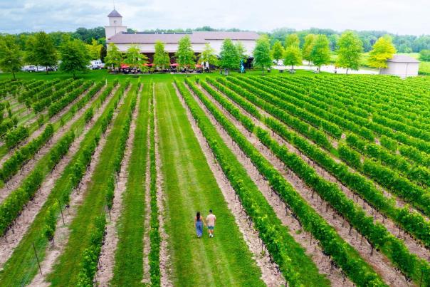 Meet-The-Niagara-on-the-Lake-Tastemakers