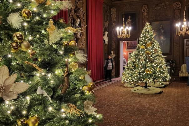 Christmas trees at Petworth House