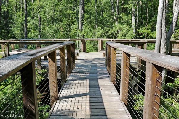 Hiking trail at Westgate Park in Leland, NC.