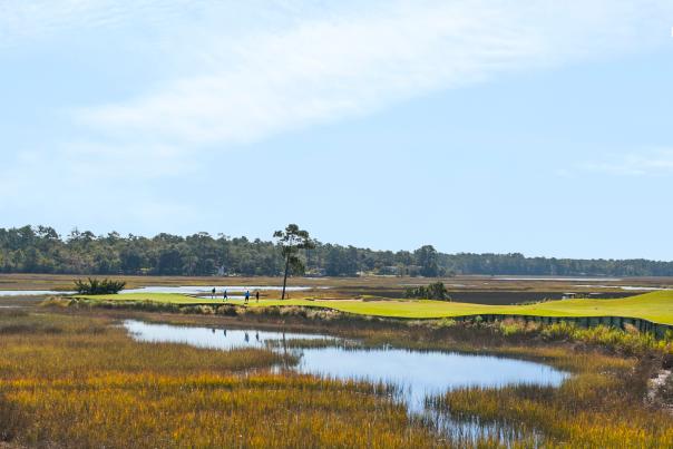 a far away view of a golf group putting on River's Edge Golf Course hole #9