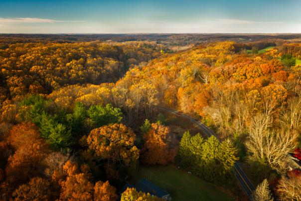 Fall Aerial