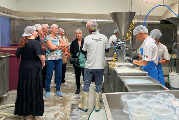 Matters of Taste Tours