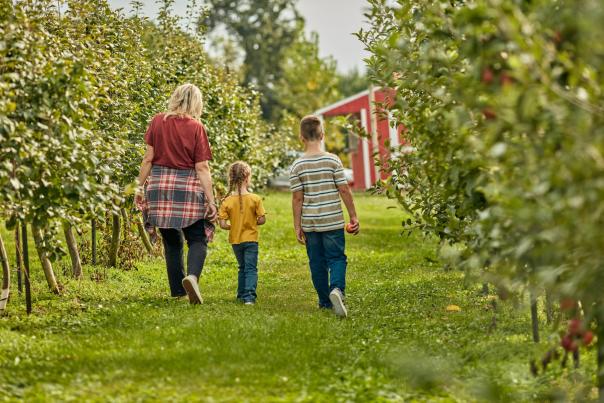 Family Road Trip to Galena Country