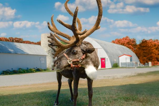 KSM-Fulton-Valley-Farms