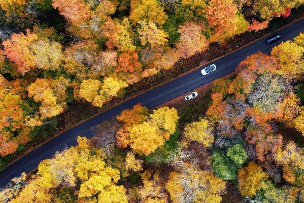The winding backroads of the Poconos are surrounded with stunning fall foliage every autumn!