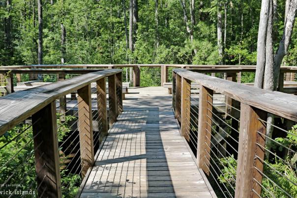 Hiking trail at Westgate Park in Leland, NC.
