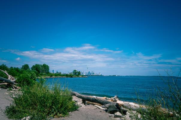 View of the Toronto Skyline from Humber Bay Shores