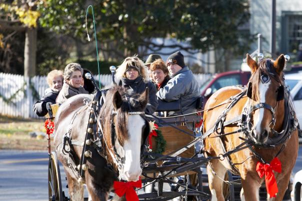 Christmas in Odessa-Horse Drawn Carriage