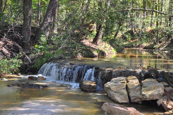 Waterfall - Forests - Texas Monthly