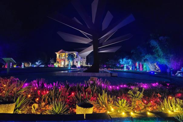 Plants, trees, and Steel Palm sculpture at Peace River Botanical & Sculpture Gardens lit up for December Gardens Aglow Event