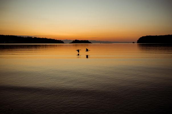 Two birds flying over the water at sunset.
