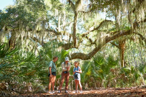 Family taking a guided tour on Little St. Simons Island