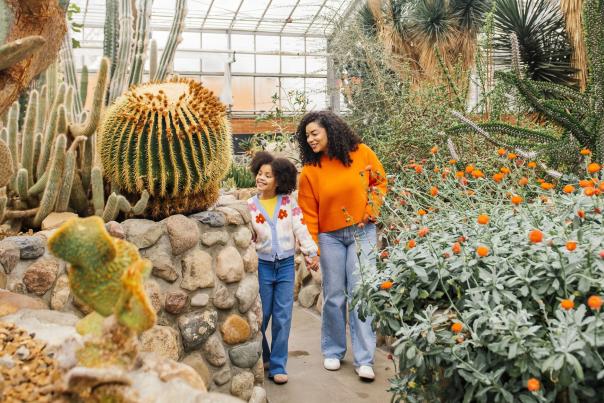 Mom and Daughter explore the cactus area inside the University of Michigan Matthaei Botanical Gardens greenhouse.