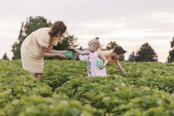 Niagara Benchlands Farm-To-Table 411