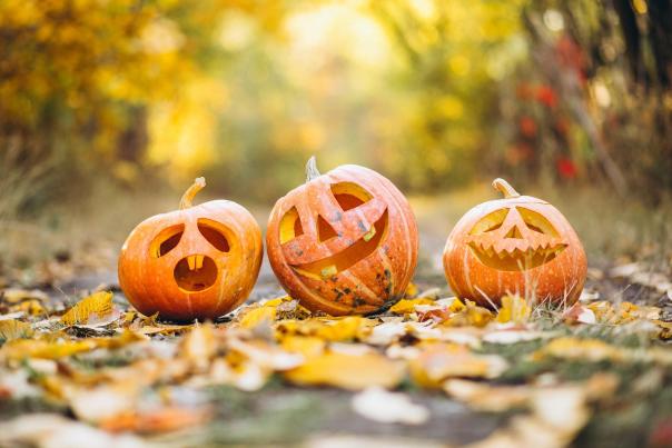 Three carved pumpkins on a leaf-covered road