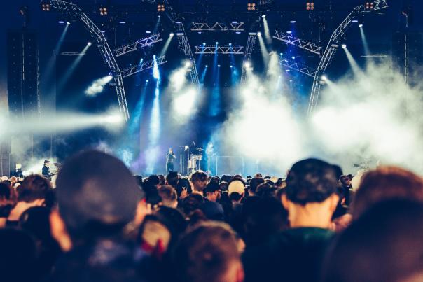 Crowd at music festival