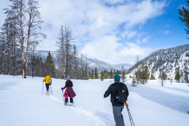 Three individuals snowshoeing through a snowy landscape, surrounded by tall trees and mountains under a partly cloudy sky.