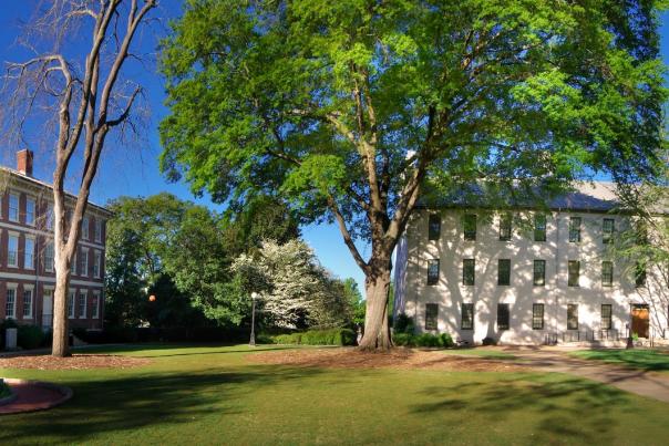 A picture of the beautiful scenery of Athens, GA at the University of Georgia.
