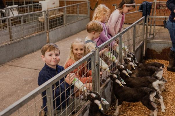 Kids feeding baby goats at Longdown Activity Farm in Ashurst in the New Forest