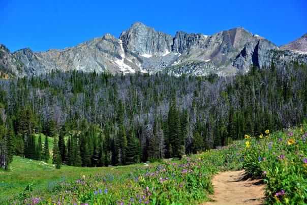 7 Best Hikes In Big Sky, Montana
