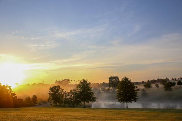 Sunrise at a horse farm over a pond with mist.