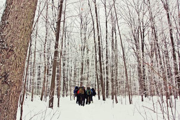 Finger Lakes National Forest