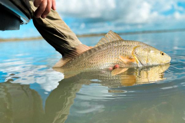 fishing