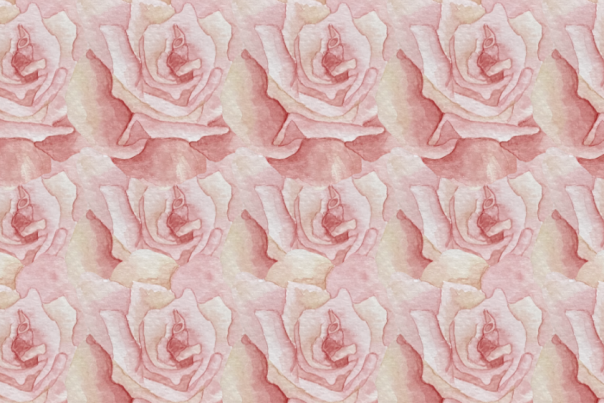 multiple pink roses as a background