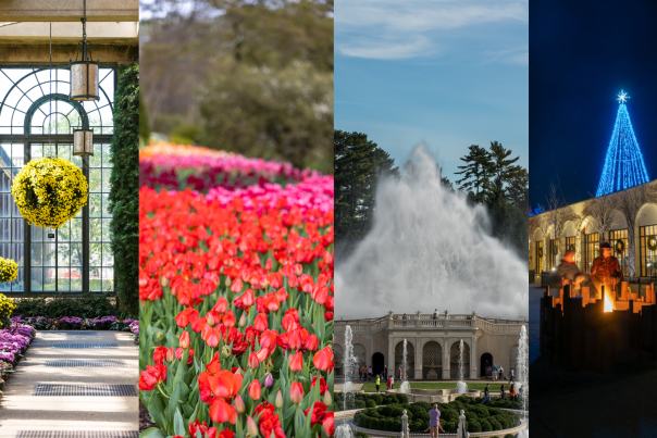 Longwood Year Round