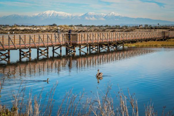 Bolsa Chica Ecological Reserve