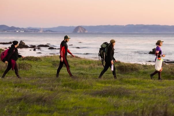 people on a kelp-foraging tour with Kelpful