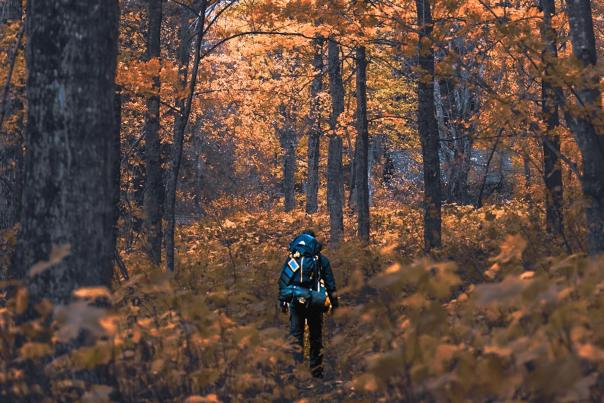 Hiking in the fall in the Upper Peninsula of Michigan