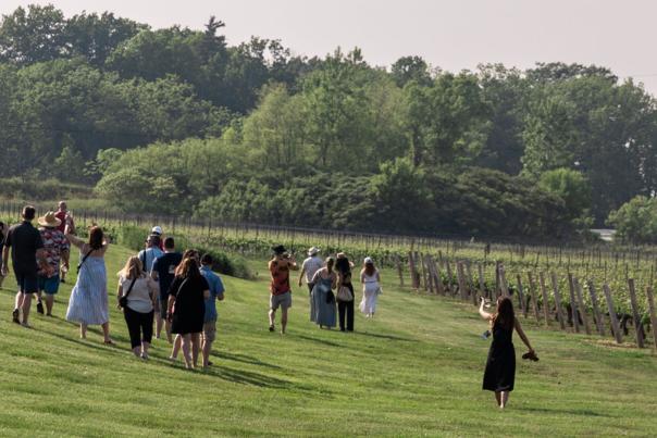 Niagara’s Top Festivals and Events for Wine & Food Lovers
