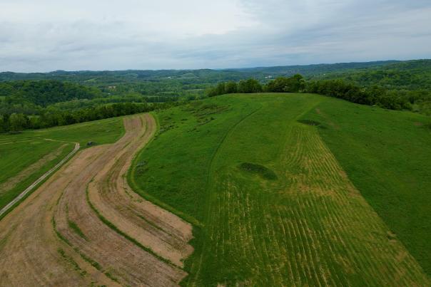Wild Acres Farm, Fishery & Hunting Preserve
