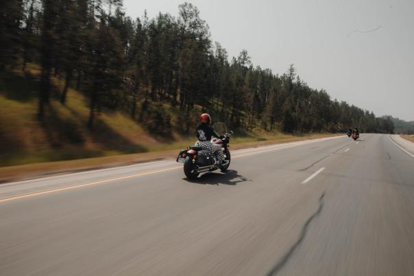 motorcycles cruising through the black hills of south dakota