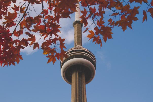 Toronto's CN Tower with red maple leaves