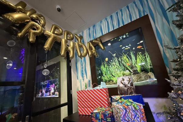 happy birthday fish gallery