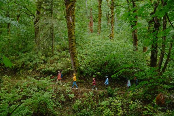 Columbia River Gorge_Cape Horn