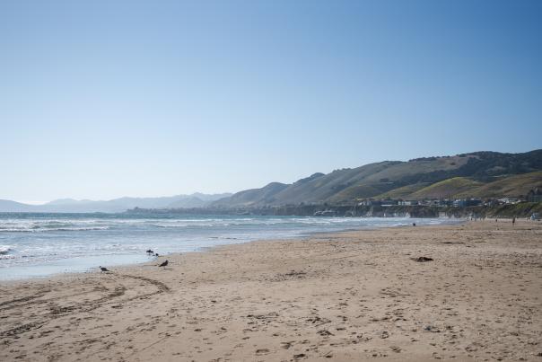 Coastline from the beach with birds, ocean and blue sky
