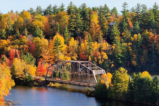Welcome Fall // 2026