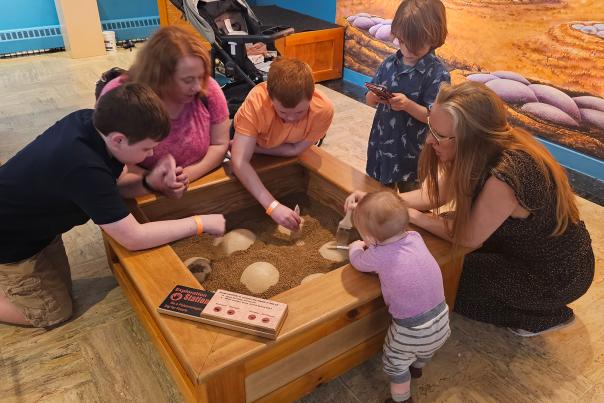 Two adult women and four children interact with a dinosaur exhibit to remove sand from a play excavation site