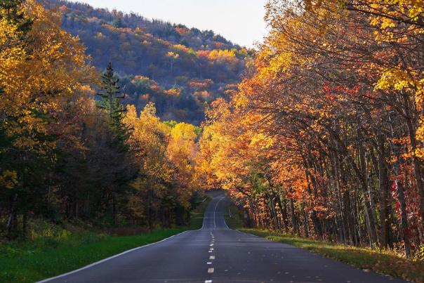A road showcasing fall color in the Upper Peninsula