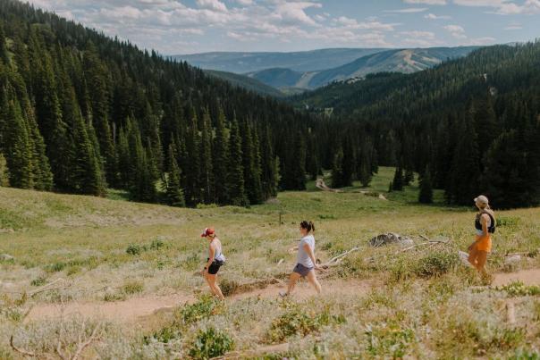 Three hikers traverse a dirt path through a lush green valley, surrounded by tall pine trees and distant mountains under a blue sky.