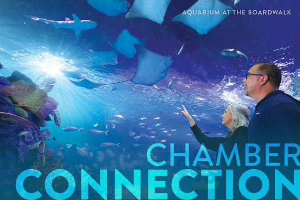 Chamber Newsletter January 8, 2026